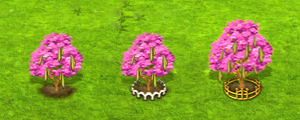 pink trumpet tree - all.png