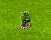 plantanus_upgrade_1.gif