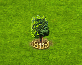 plantanus_upgrade_2.gif