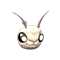 poodle moth.png