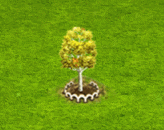 populustremuloides_upgrade_1.gif