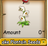 Rattlesnake Plantain Seeds.png