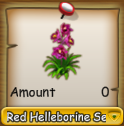 red helleborine.png