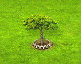 sandboxtree_upgrade_1.gif