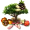 seedleventfeb2019treemainpackage.png