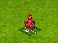 socceraug2025teambear_0.gif