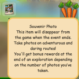 souvenir photo info.png