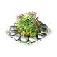 spicescrub_big.png