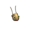 stick insect.png