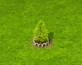 swampcypress_upgrade_1.gif