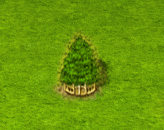 swampcypress_upgrade_2.gif