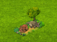 twinlayermay2025butterfly.gif