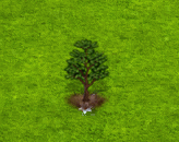 yoshinocherry_upgrade_0.gif